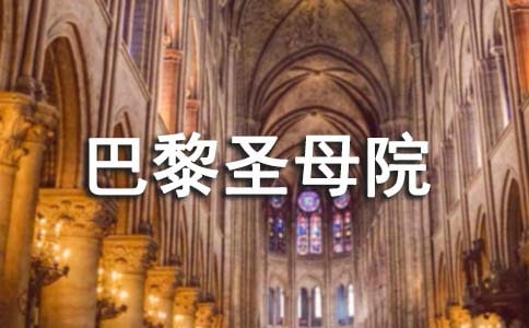 巴黎圣母院讀后感(必備)