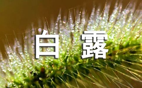 ���P��¶���ℓ���İ������x350�䣩