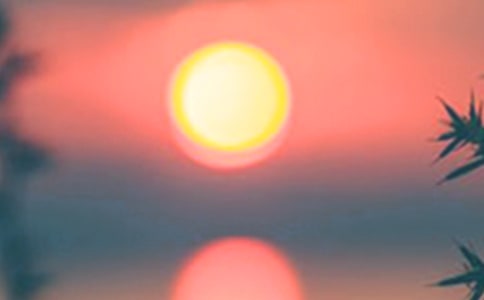 ����ͣ��÷��·���������TX���l��