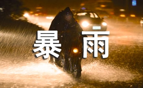 防暴雨安全教案