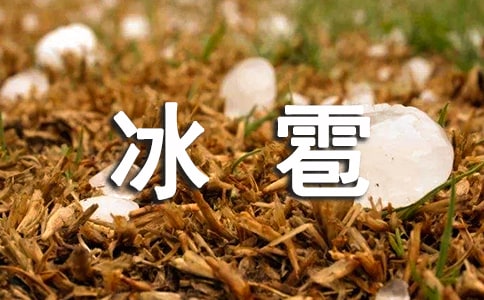 �±������ģ��؂䣩