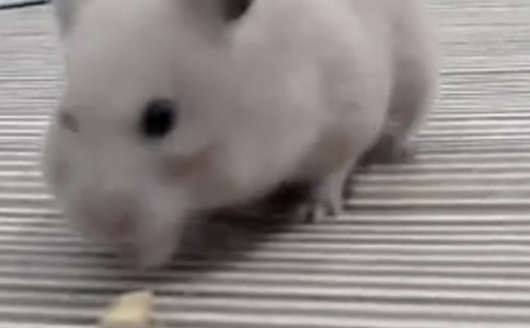 �}��С�W����