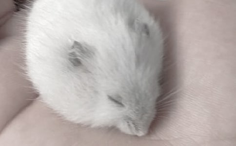 �ɐ۵Ă}������