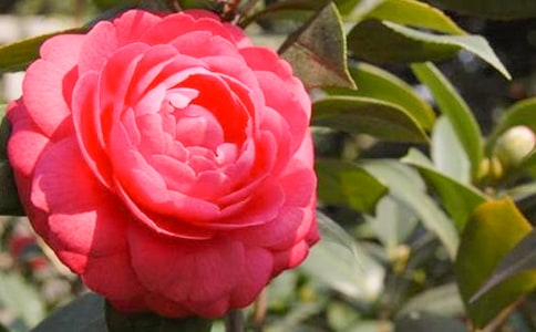 �軨���Bֳ������ע�����