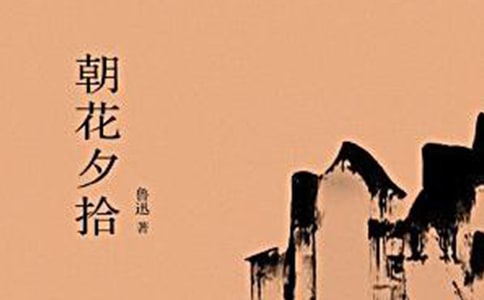 (精)朝花夕拾讀書筆記