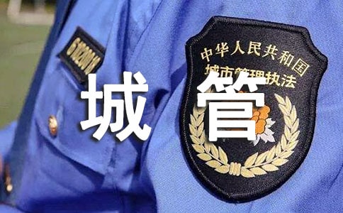 城管工作總結(jié)