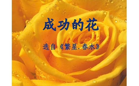 ���ɹ��Ļ����x���