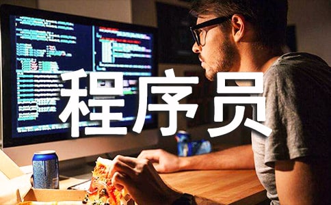 程序員試用期工作總結范文