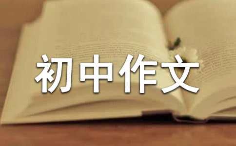 �Ґ��Ҽҳ�������