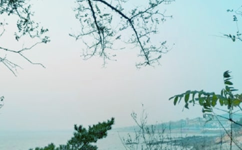 ���L��������