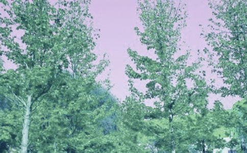 ���L(f��ng)С�W(xu��)����