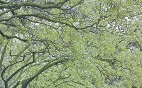 稅務春風行動總結(jié)