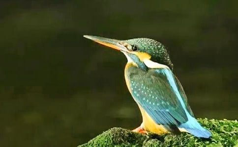 �����B���ڶ��n�r�f�n�OӋ