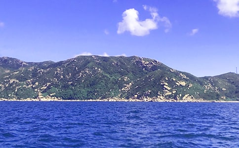 美麗的大海作文500字