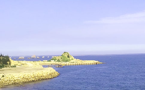 �茑�󺣵ă�������