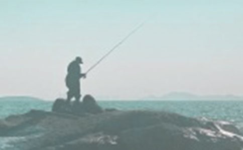 釣魚優秀作文