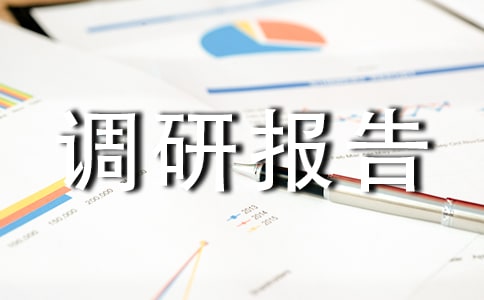 文化旅游調(diào)研報告精品12篇