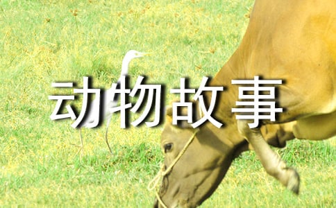 (熱)讀《西頓動物故事》有感