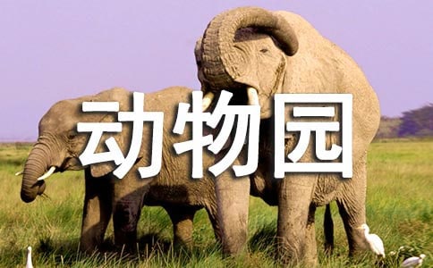 【熱門(mén)】游動(dòng)物園作文4篇