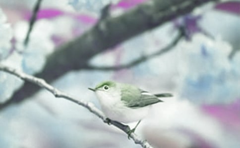 ̽�����ֲ��N�ӵĂ����̌W���