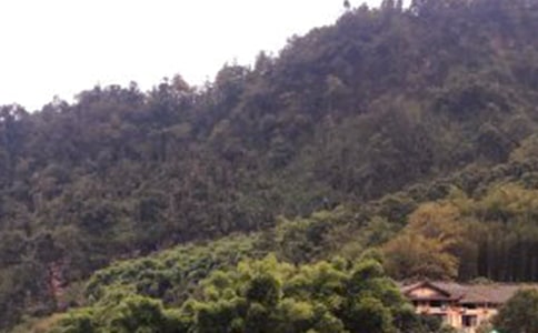 峨眉山作文