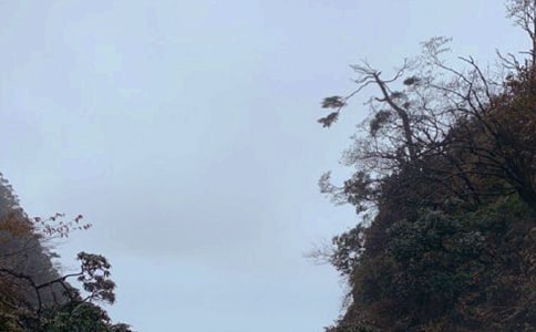 [��]�ζ�üɽ����
