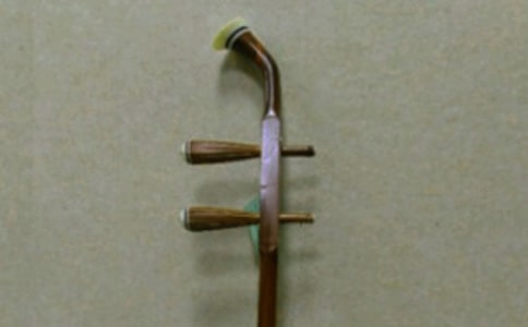 學二胡的作文