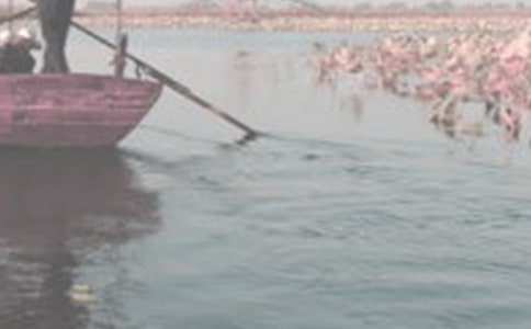 科海泛舟作文共2篇
