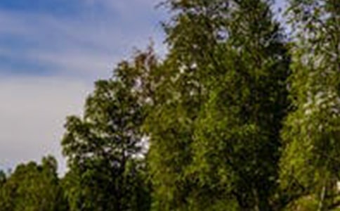 �r�L���^(q��)���ι���