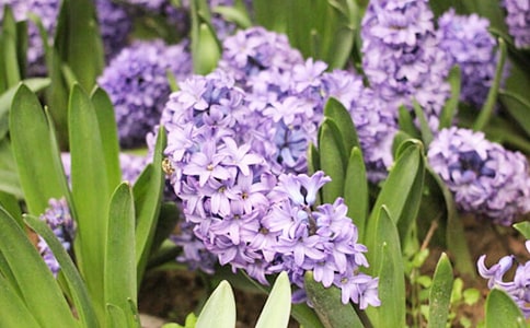 �L�������ľ��A��15ƪ��