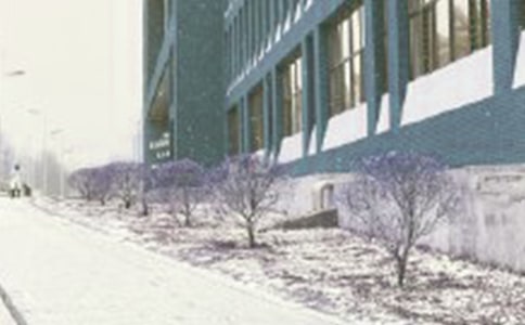 風(fēng)雪的作文4篇
