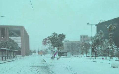 С�W(xu��)�������L(f��ng)ѩ�е���Ӱ