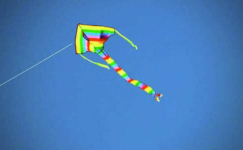 �����x�������L�~������