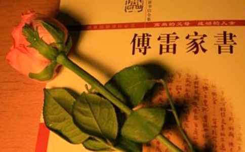 《傅雷家書》有感范文