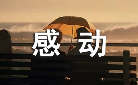 �Єӵ�������