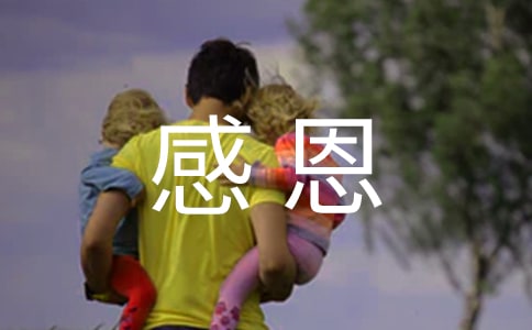 《感恩的心》讀后感(15篇)