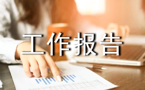 個人年度工作報告