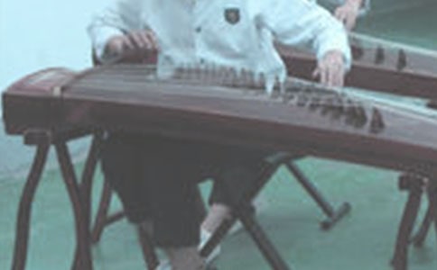 彈古箏作文