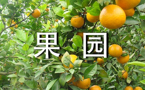 ���@�а���ͬ���A��13ƪ��