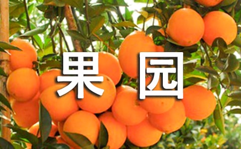 ���@�D(zhu��n)��ĺ�ͬ