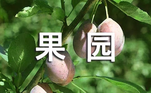 �l(xi��ng)�(zh��n)���@ʾ���^(q��)���O(sh��)��r�R��(b��o)����