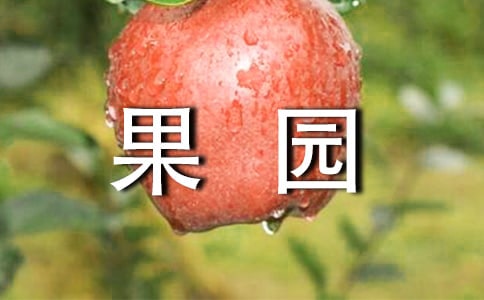 ���@�C���˽̌W�OӋ