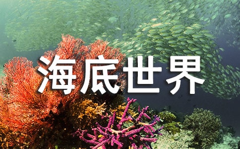 ���������硷�u�n��