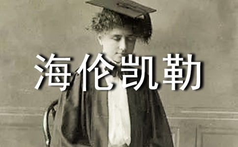 �x�����P�Ղ��и�8ƪ
