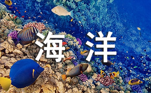 �麣��������֮������