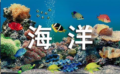 ���纣���յ��Ɂ�(l��i)�����}��ȫ