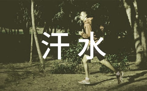 揮灑汗水作文