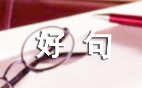 文化苦旅好句