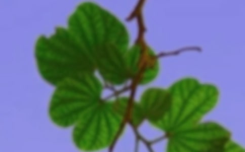 ���C������15ƪ������