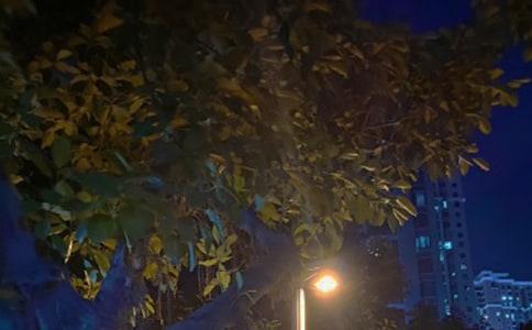 關于黑夜的文案(精選)